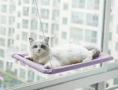 Comfortable cat  Hammock